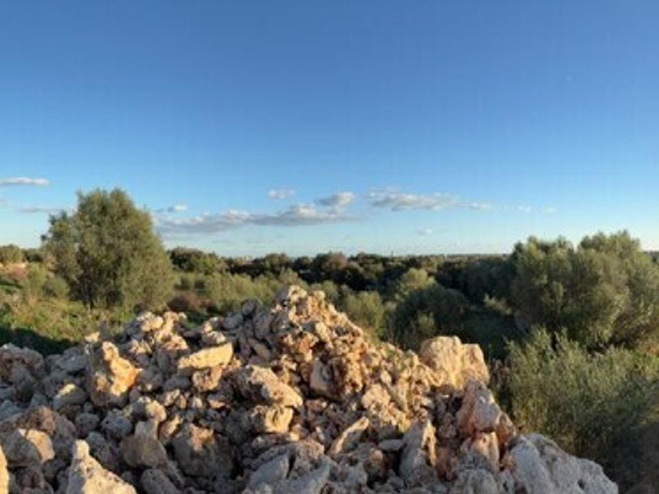 Helårsgrund i Sant Llorenc Des Cardassar, Mallorca - foto 4