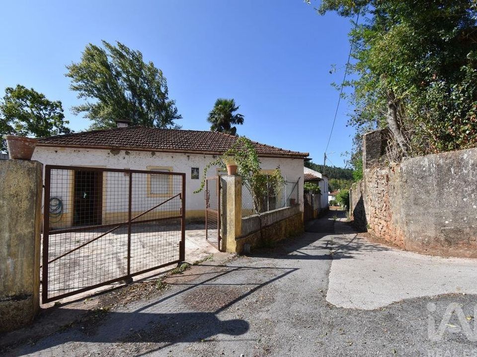 Gård i Penela, Coimbra - bilde 2