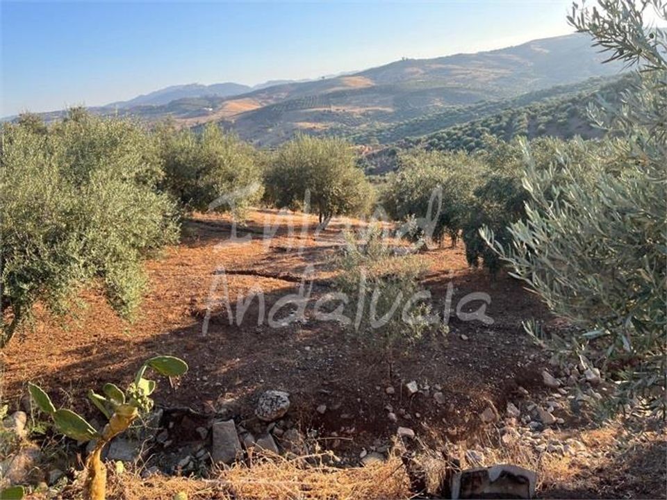 Terra em Periana, Malaga - foto 1