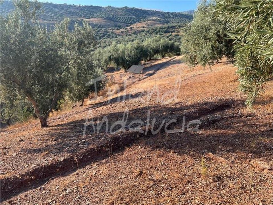 Terra em Periana, Malaga - foto 2