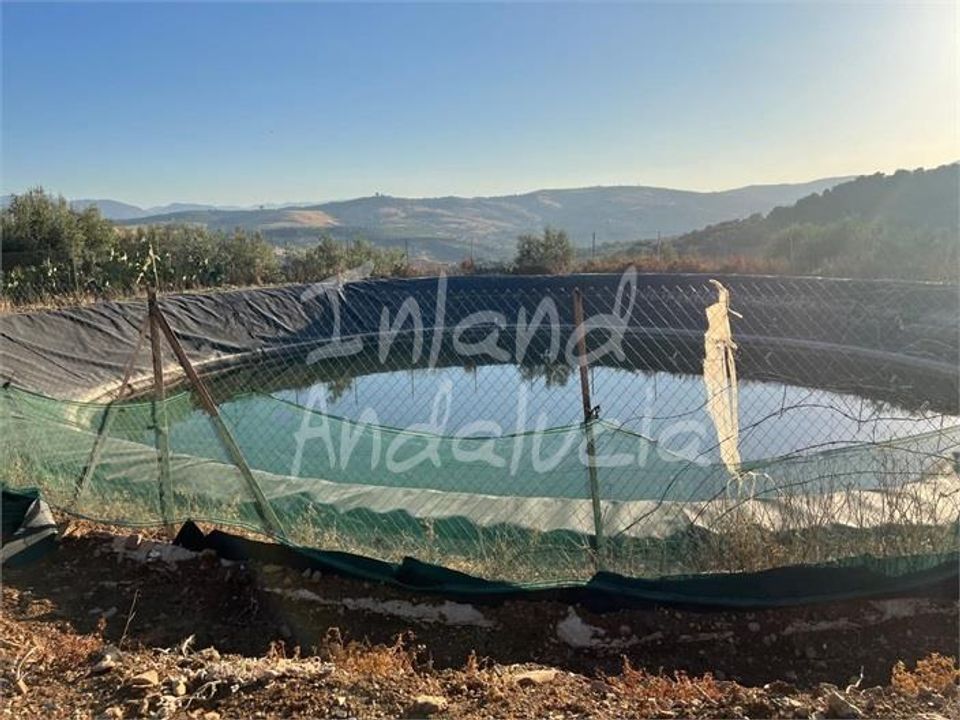 Terra em Periana, Malaga - foto 3