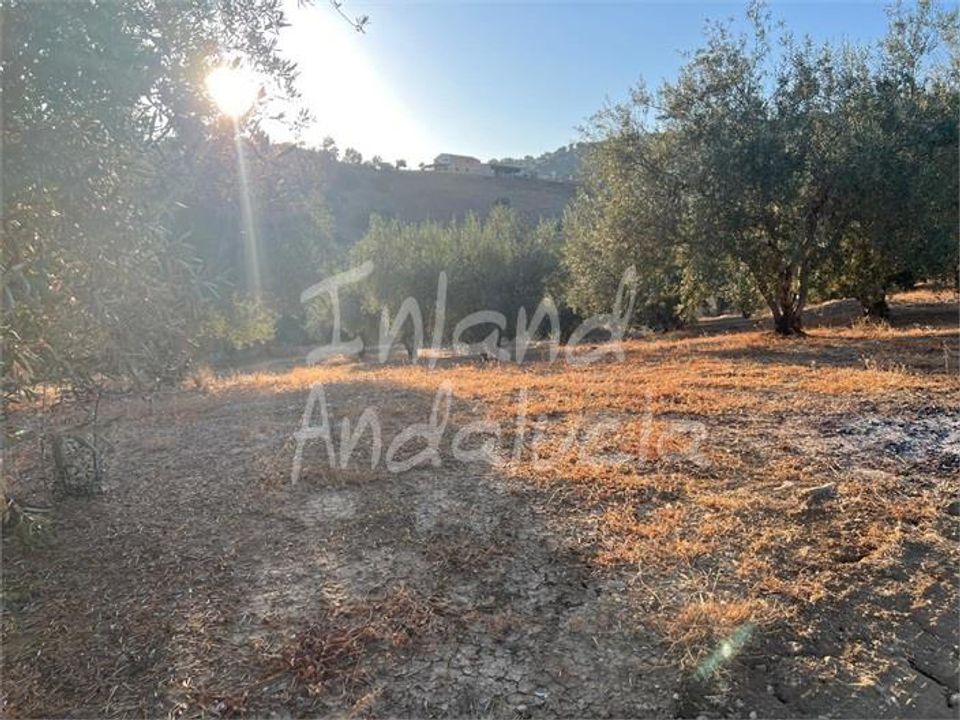Terra em Periana, Malaga - foto 5