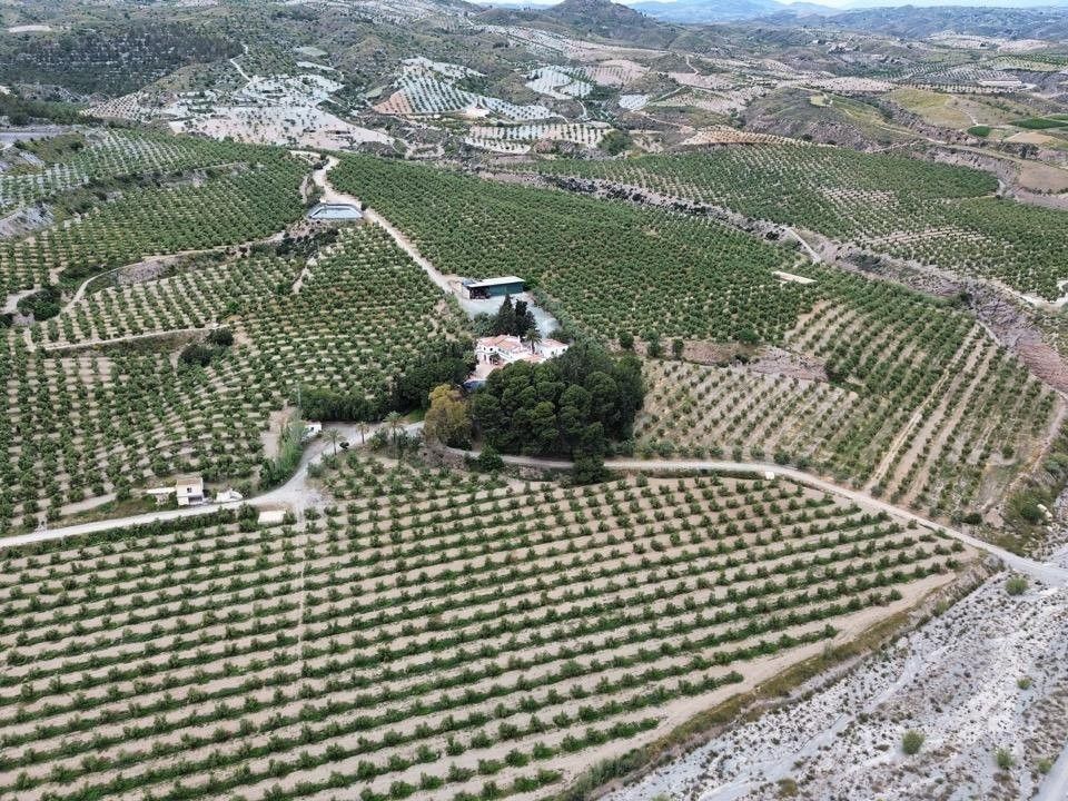 Helårsgrund i Murcia, Murcia - foto 3