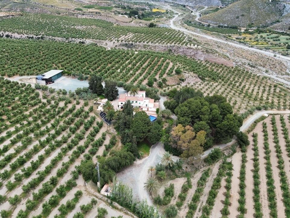Helårsgrund i Murcia, Murcia - foto 4