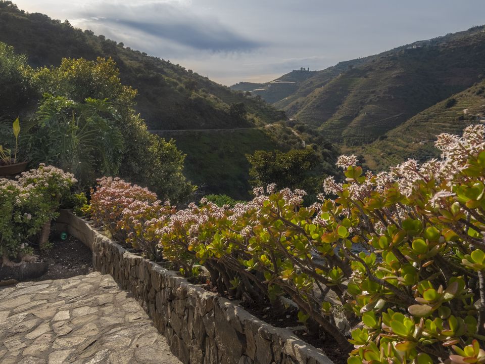 Villa i Sayalonga, Malaga - foto 5