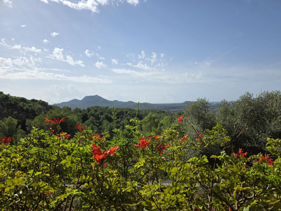 Farm hus i Felanitx, Mallorca - foto 3