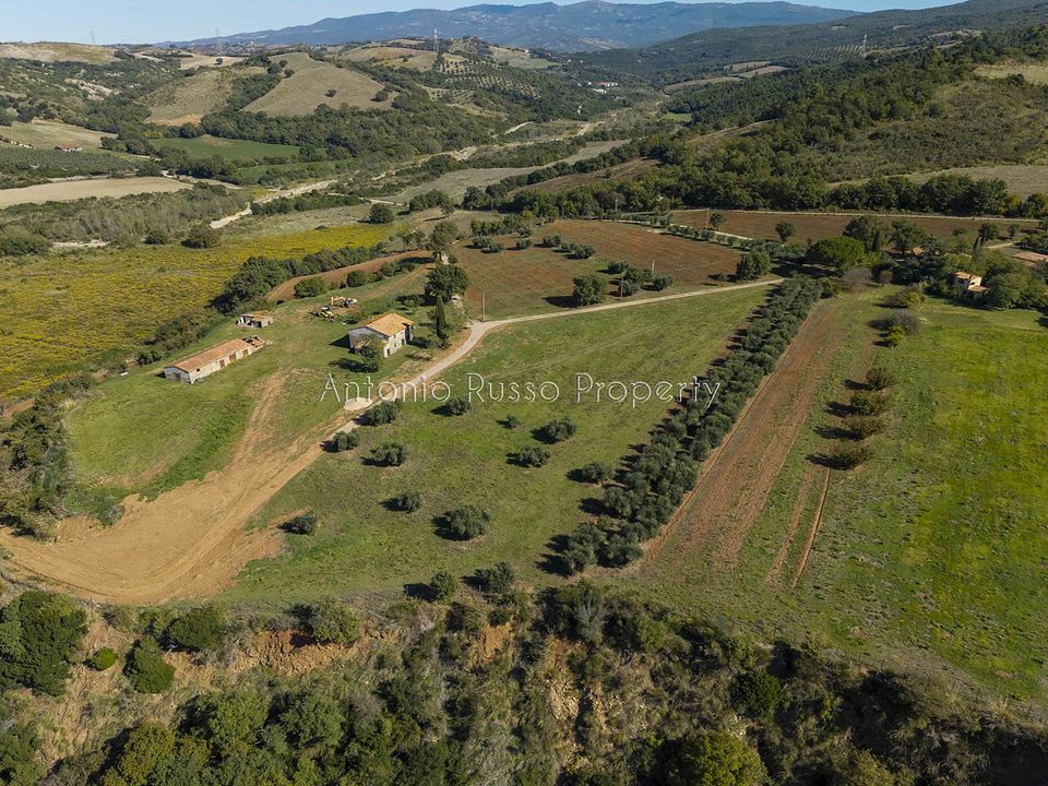 Villa i Scansano, Grosseto - foto 5
