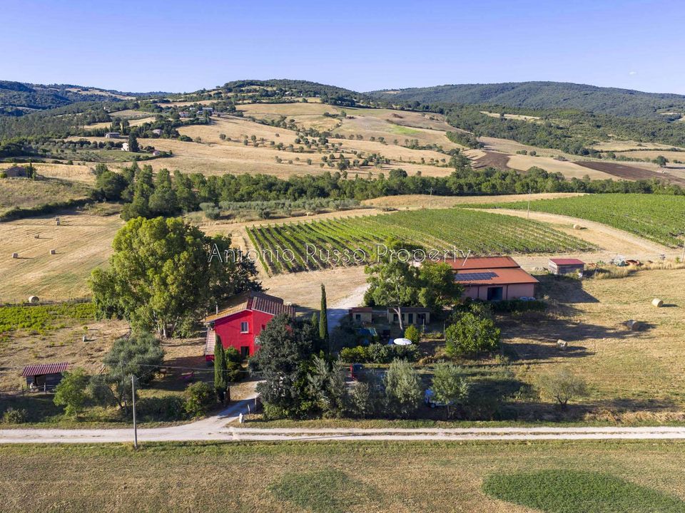 Villa i Scansano, Grosseto - foto 3