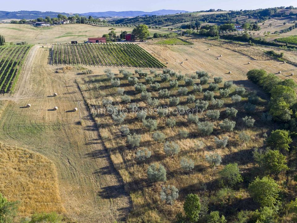Villa i Scansano, Grosseto - foto 5