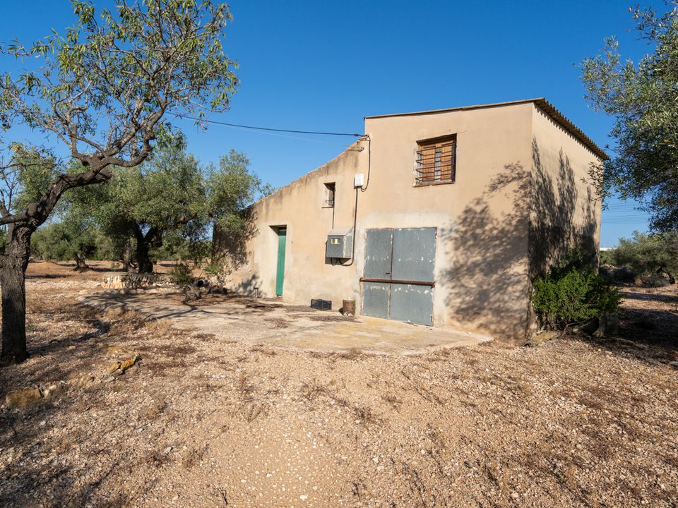 Finca i L'Ampolla, Tarragona - foto 4