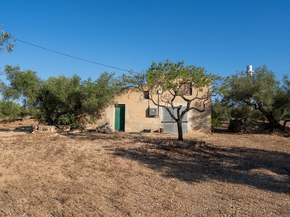 Finca i L'Ampolla, Tarragona - foto 3