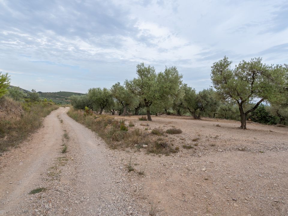 Finca i Mas De Barberans, Tarragona - foto 5