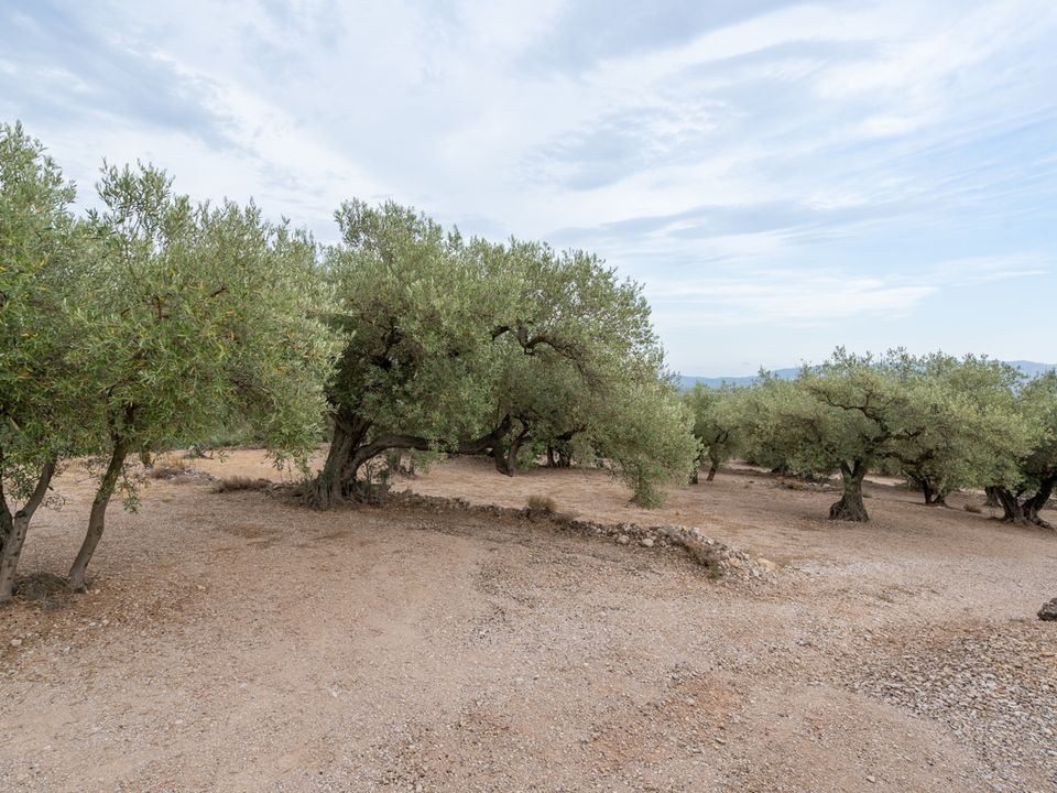 Finca i Mas De Barberans, Tarragona - foto 4