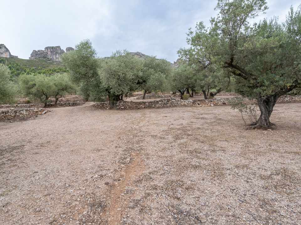 Finca i Mas De Barberans, Tarragona - foto 1