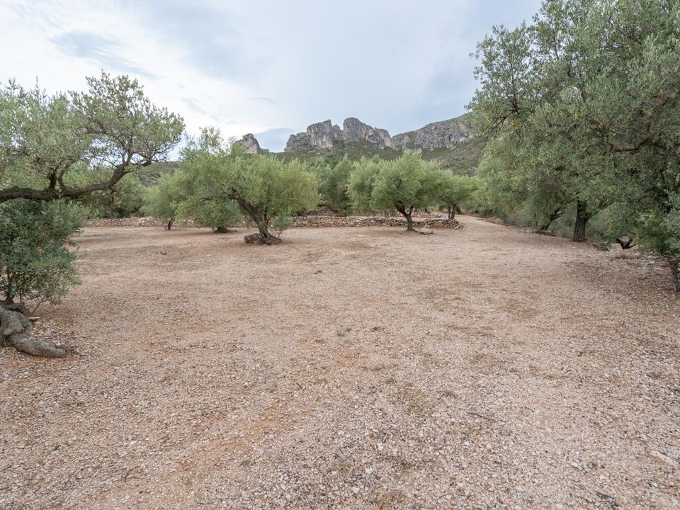 Finca i Mas De Barberans, Tarragona - foto 3