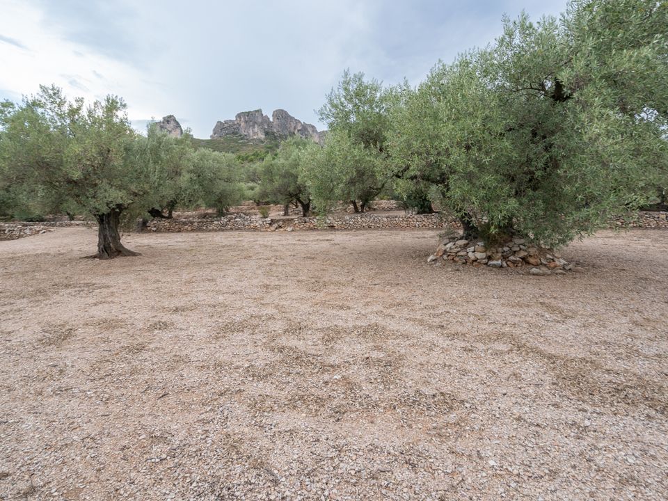 Finca i Mas De Barberans, Tarragona - foto 2
