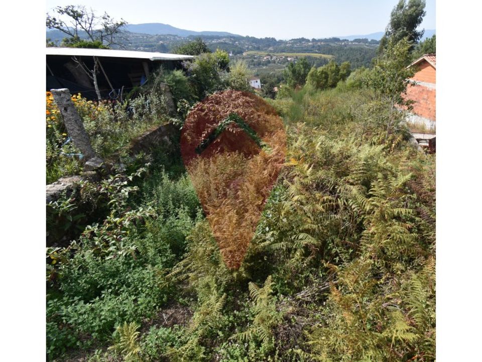 Helårsgrund i Fontoura, Viana do Castelo - foto 5