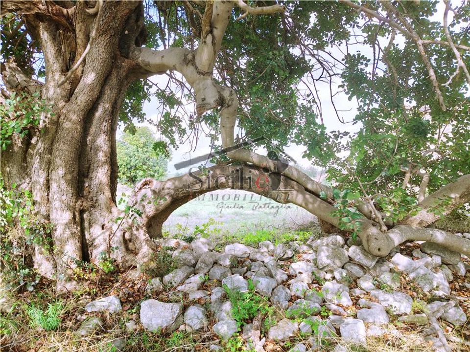 Villa a Scicli, Ragusa - foto 5
