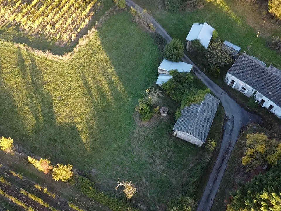 Villa i Saint-Lambert-du-Lattay, Maine-et-Loire - foto 5