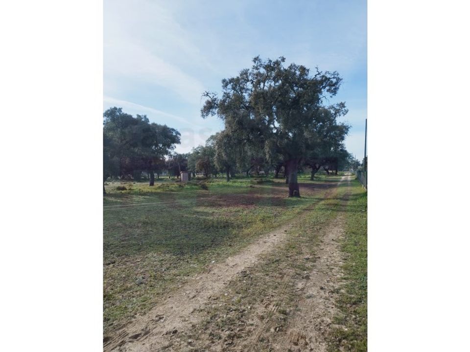 Farm i Setubal, Setubal - foto 4