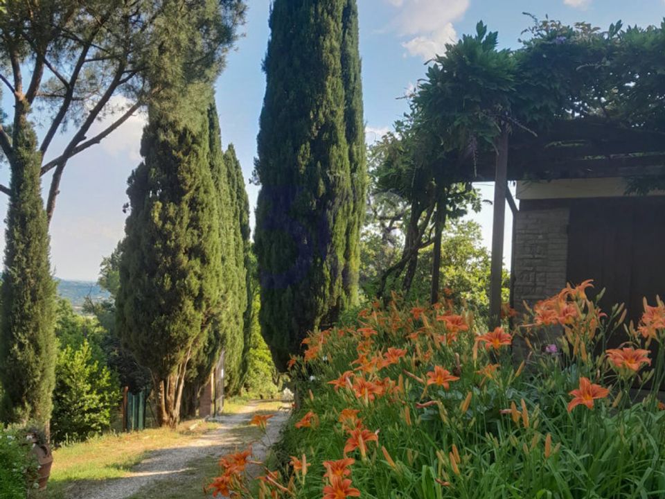 Villa i Capolona, Arezzo - bilde 1