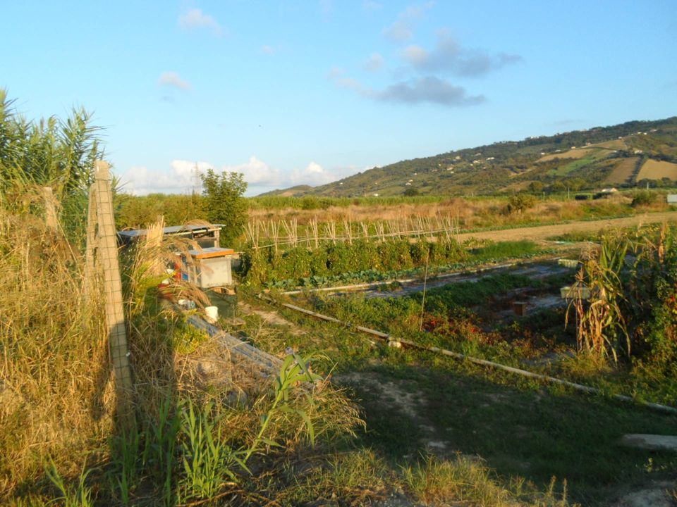Helårsgrund i Monteprandone, Ascoli Piceno - foto 1