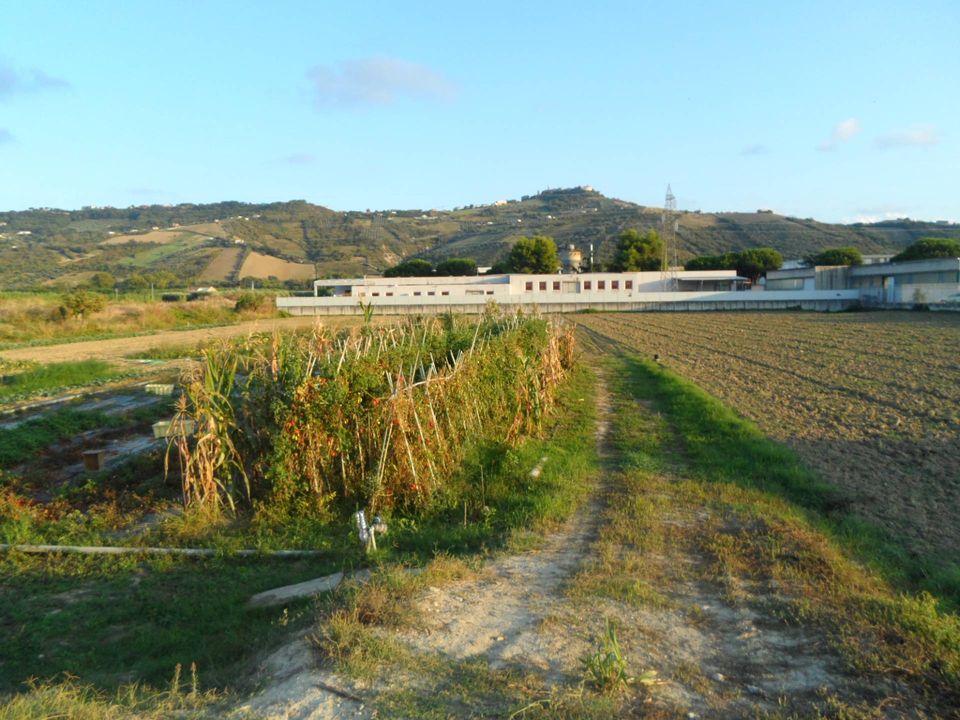 Helårsgrund i Monteprandone, Ascoli Piceno - foto 2
