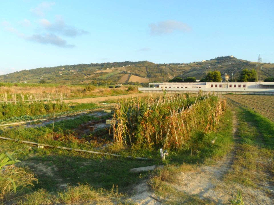 Helårsgrund i Monteprandone, Ascoli Piceno - foto 5