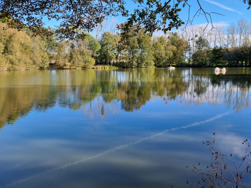 Villa i Meneac, Morbihan - foto 1