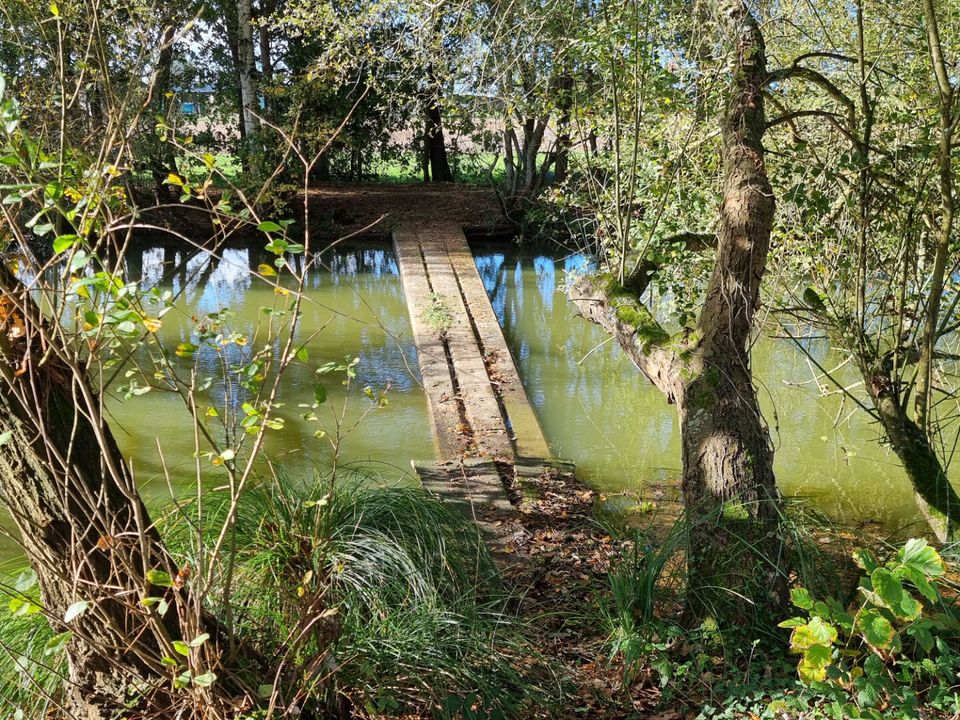 Villa i Meneac, Morbihan - foto 3