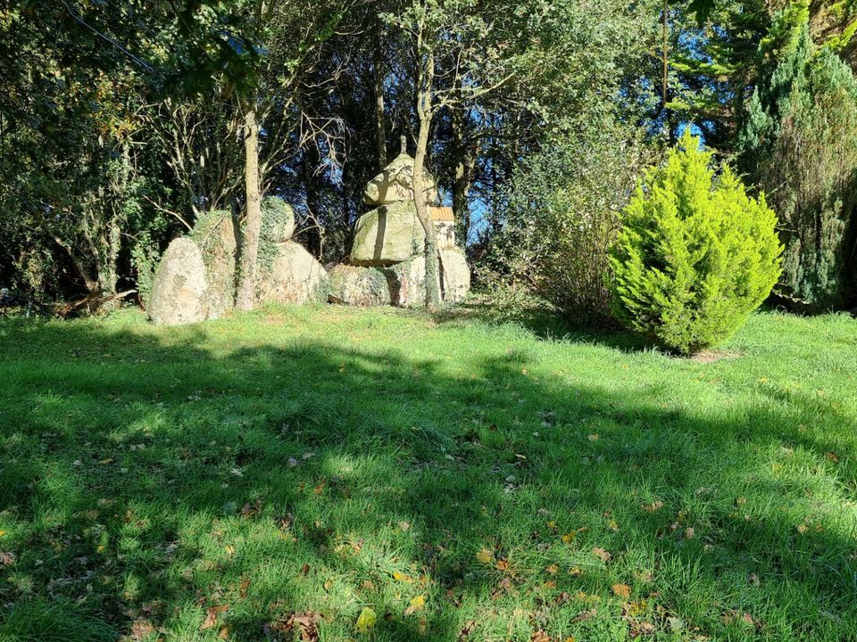 Villa i Meneac, Morbihan - foto 4