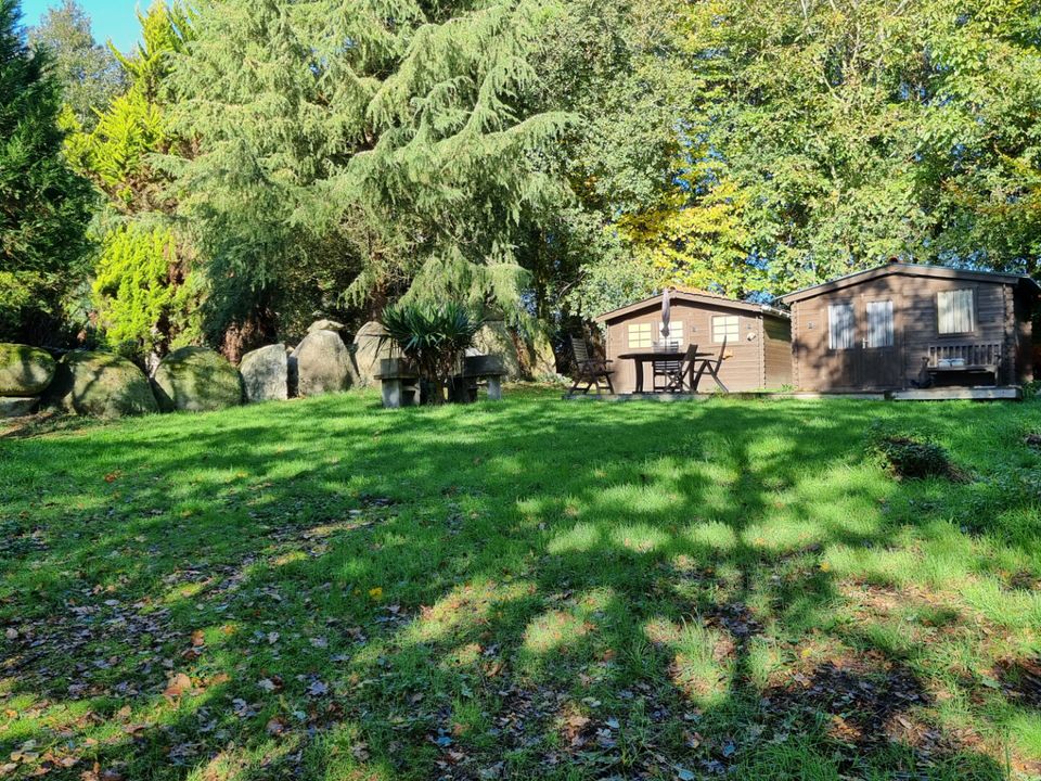 Villa i Meneac, Morbihan - foto 5
