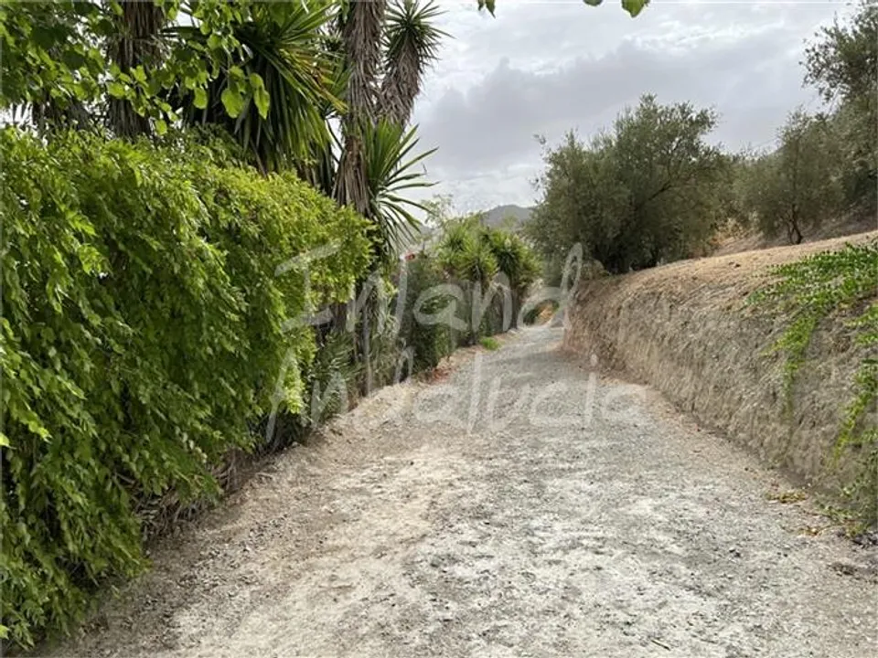 Cortijo i El Sabariego, Jaen - foto 3