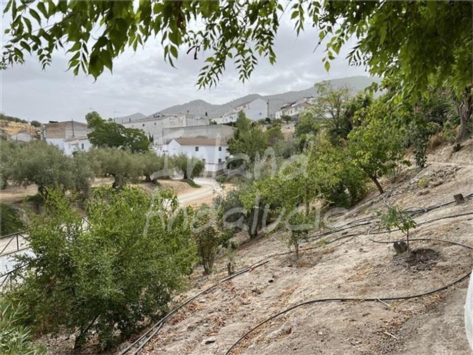 Cortijo i El Sabariego, Jaen - foto 5