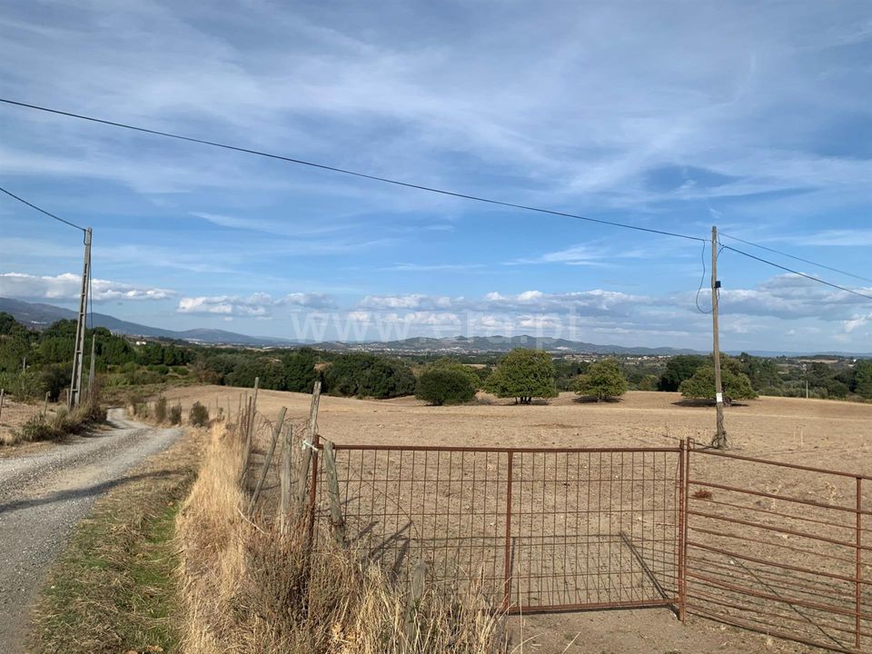 Tomt i Fundao, Castelo Branco - bilde 3