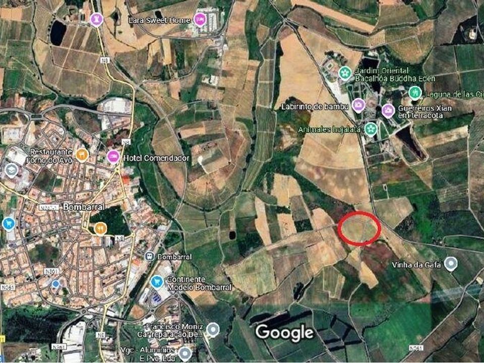 Helårsgrund i Bombarral, Leiria - foto 1