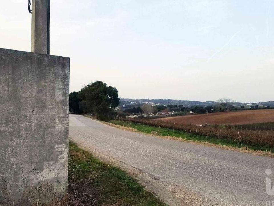 Helårsgrund i Bombarral, Leiria - foto 4
