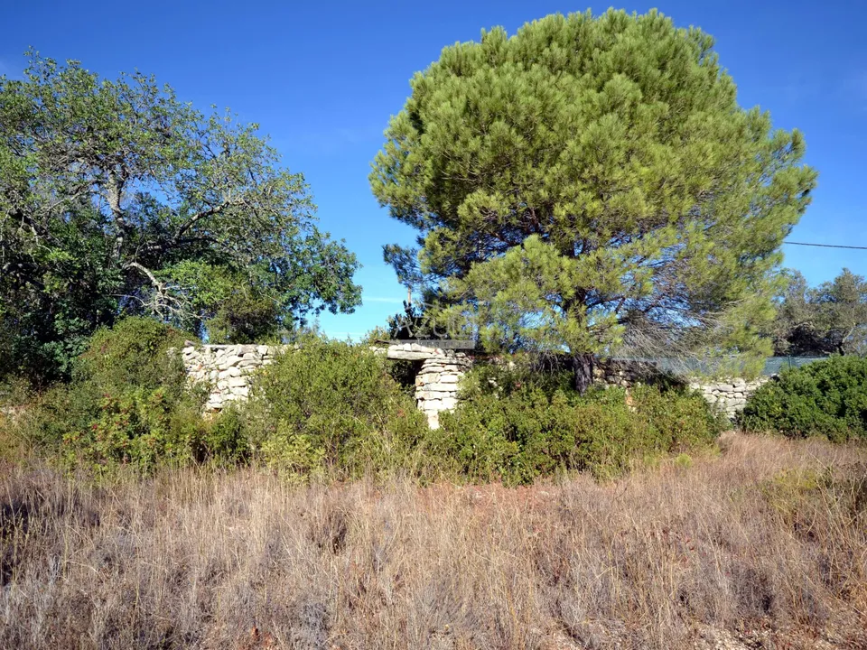 Helårsgrund i Loule, Faro - foto 1