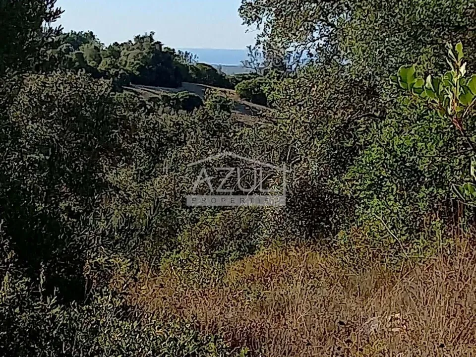Helårsgrund i Loule, Faro - foto 3
