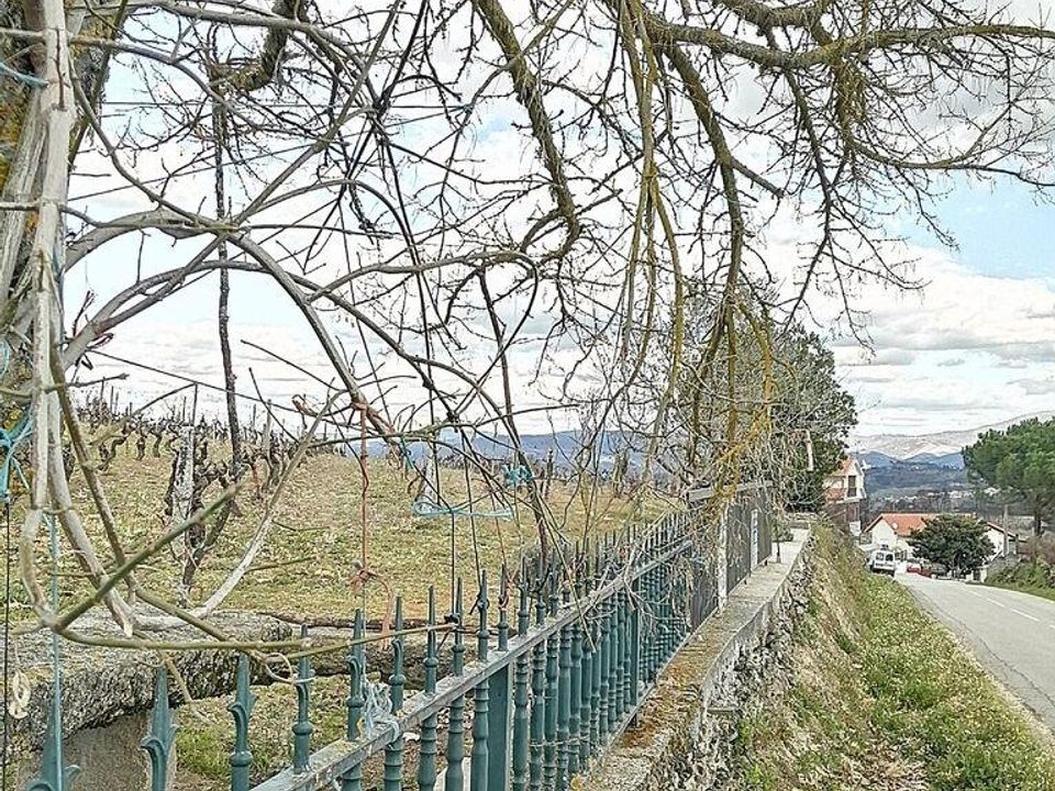 Helårsgrund i Chaves, Vila Real - foto 2