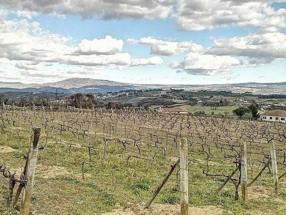 Helårsgrund i Chaves, Vila Real - foto 4