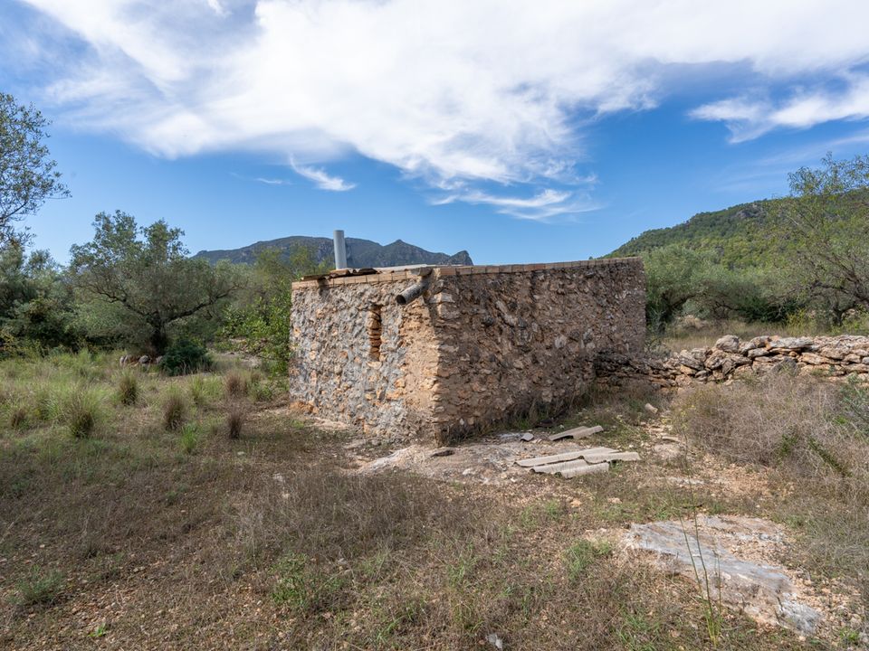 Finca i Tortosa, Tarragona - foto 1