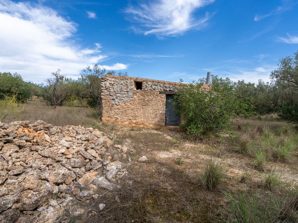 Finca i Tortosa, Tarragona - foto 2