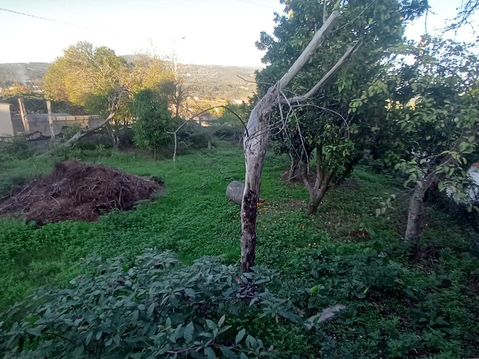 Villa i Bela, Viana do Castelo - foto 3