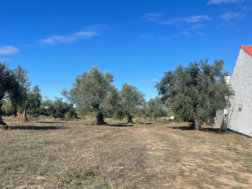 Helårsgrund i Tomar, Santarem - foto 2