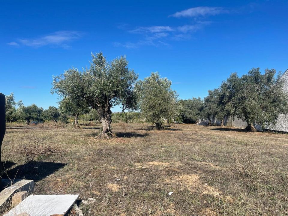 Helårsgrund i Tomar, Santarem - foto 4