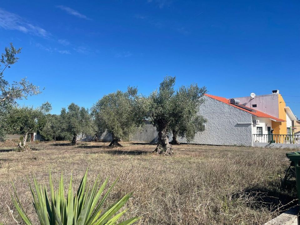 Helårsgrund i Tomar, Santarem - foto 5