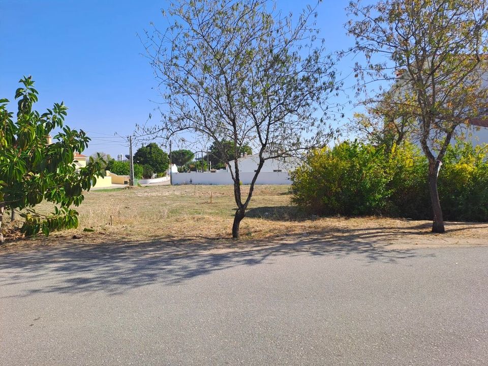 Helårsgrund i Torres Novas, Santarem - foto 2