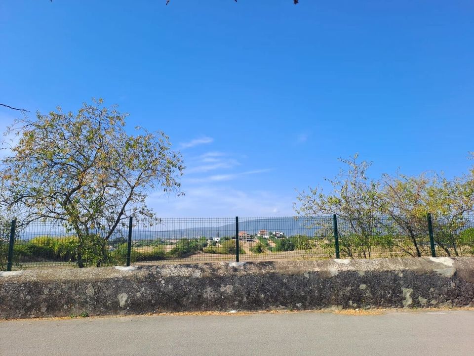 Helårsgrund i Torres Novas, Santarem - foto 3