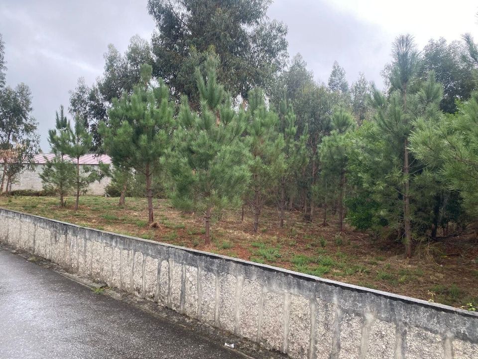 Helårsgrund i Bela, Viana do Castelo - foto 2